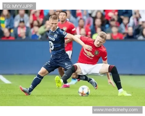 德甲赛场：汉堡垫底，遭遇降级危机